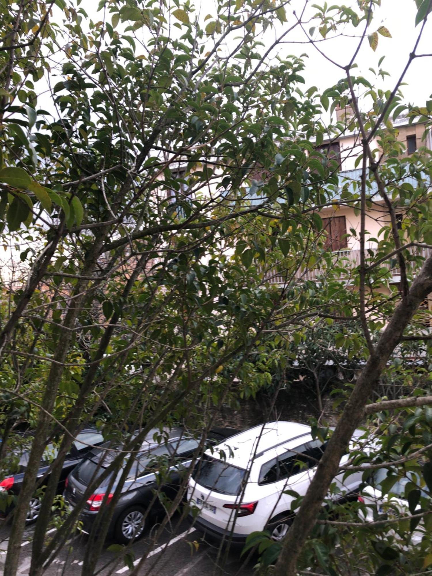 Logement Promenade De La Torse A Aix-En-Provence Extérieur photo